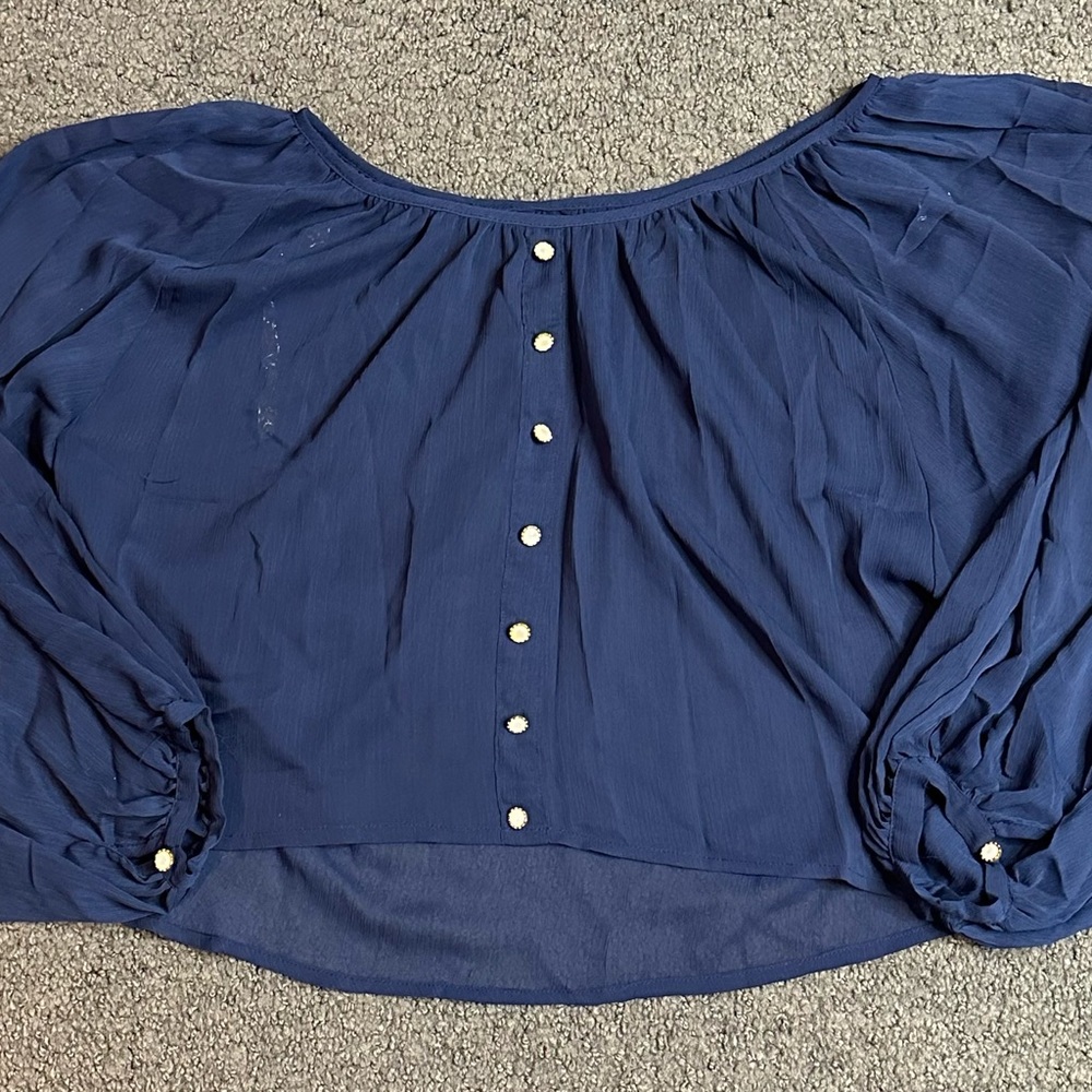 Mandee Women’s Blue Sheer Button Down Blouse Top Shirt Medium